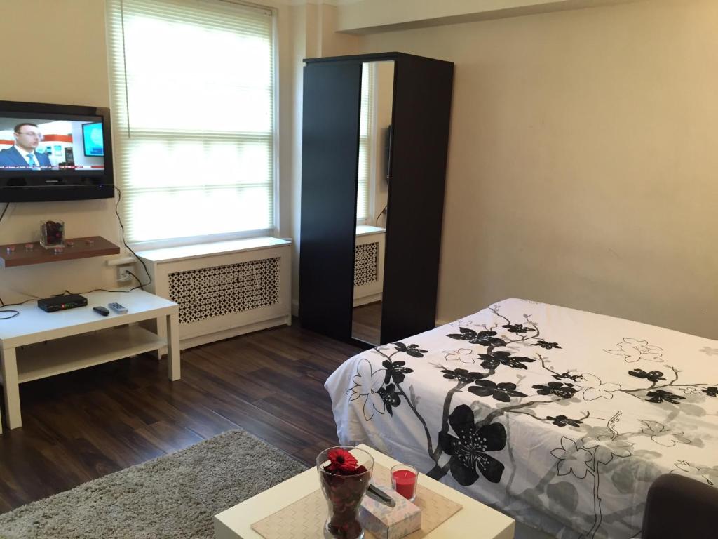 Lovely studio in Central London — Hotel in London