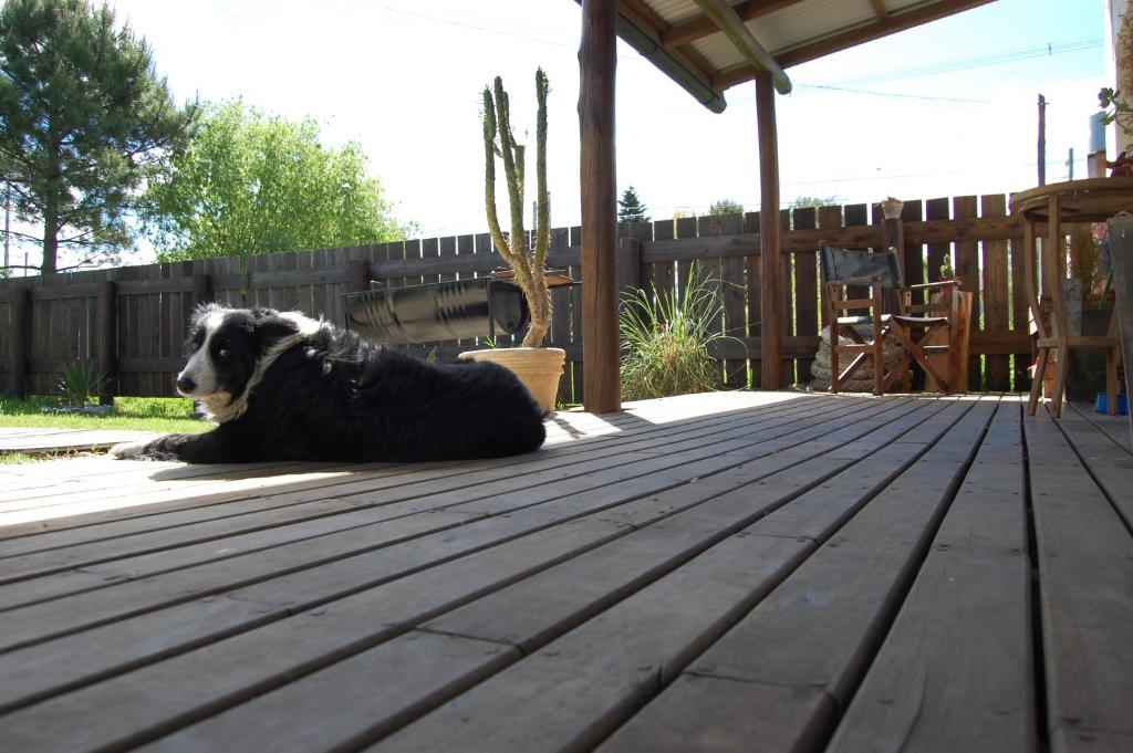 Altaves, San Clemente del Tuyú