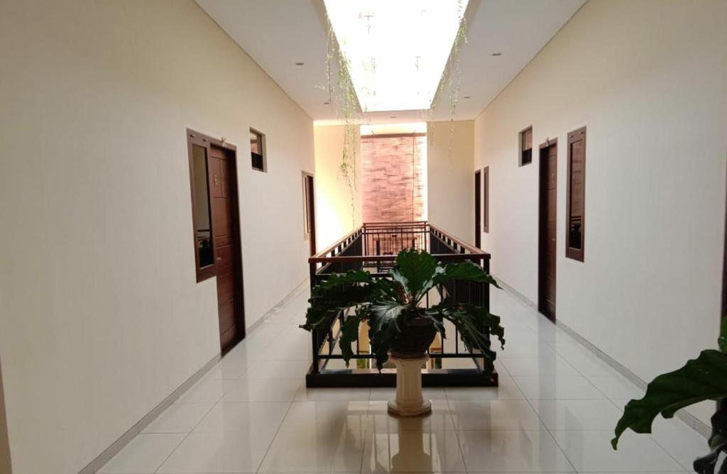 MANDARI HOTEL SINGARAJA photo