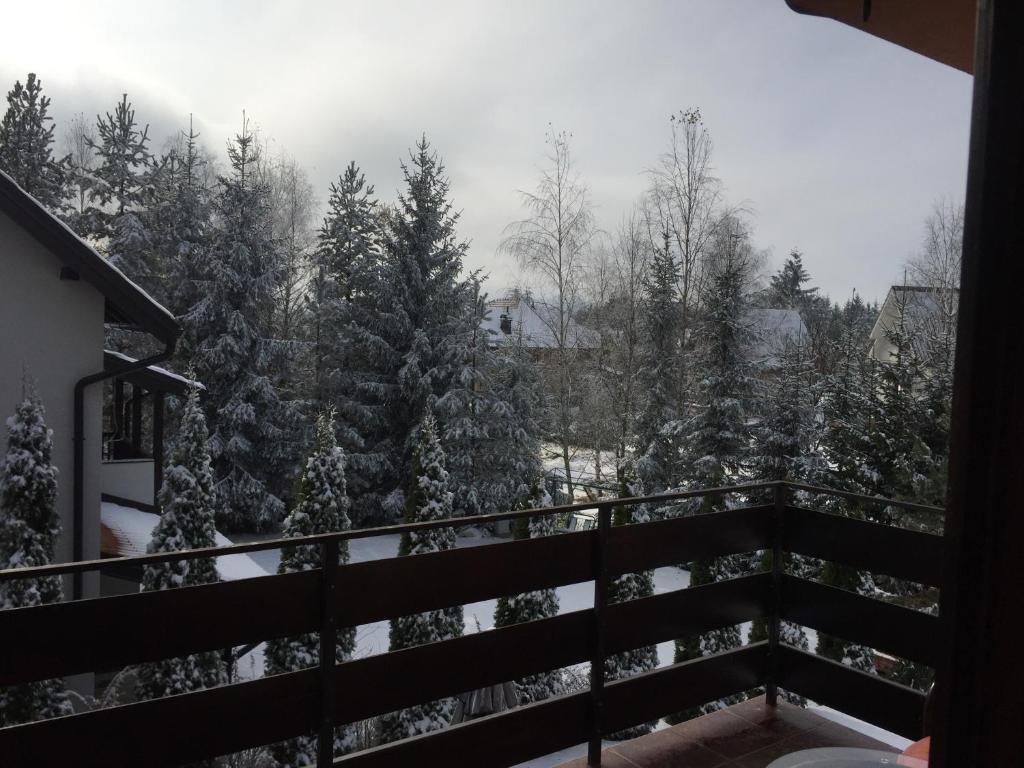 Apartments Dobra Vila - 3