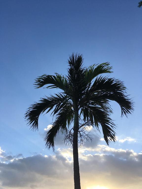 Surrounding environment