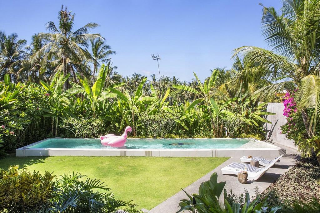 Villa Casabama photo