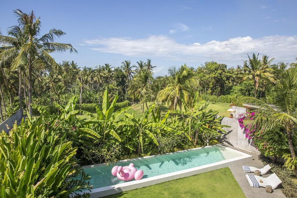 Villa Casabama photo