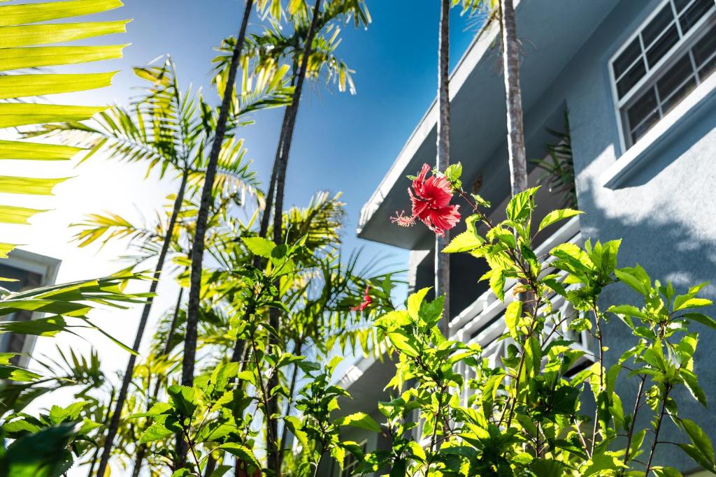 Jardín