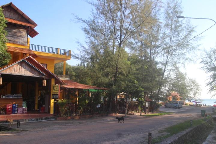 Gecko Guesthouse photo