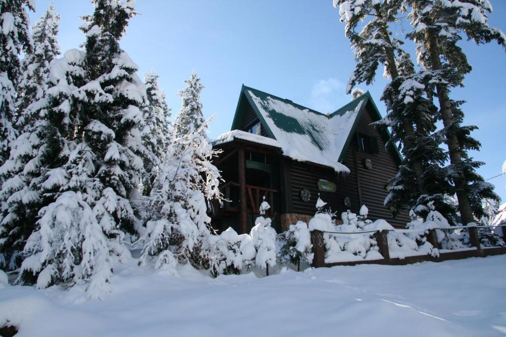 Durmitor Chalet - 2