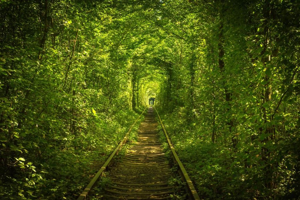 Hotel Tunnel of Love photo