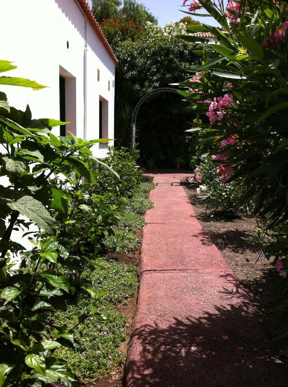 Bungalow La Datura photo
