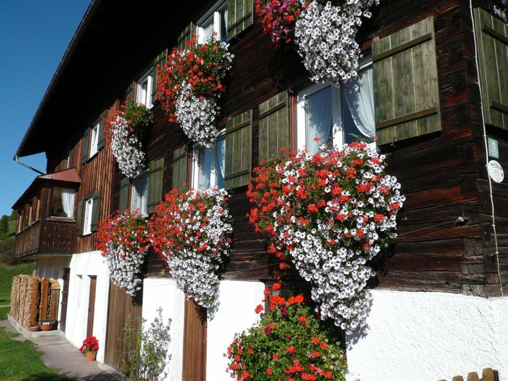 Gästehaus Schaub - 3