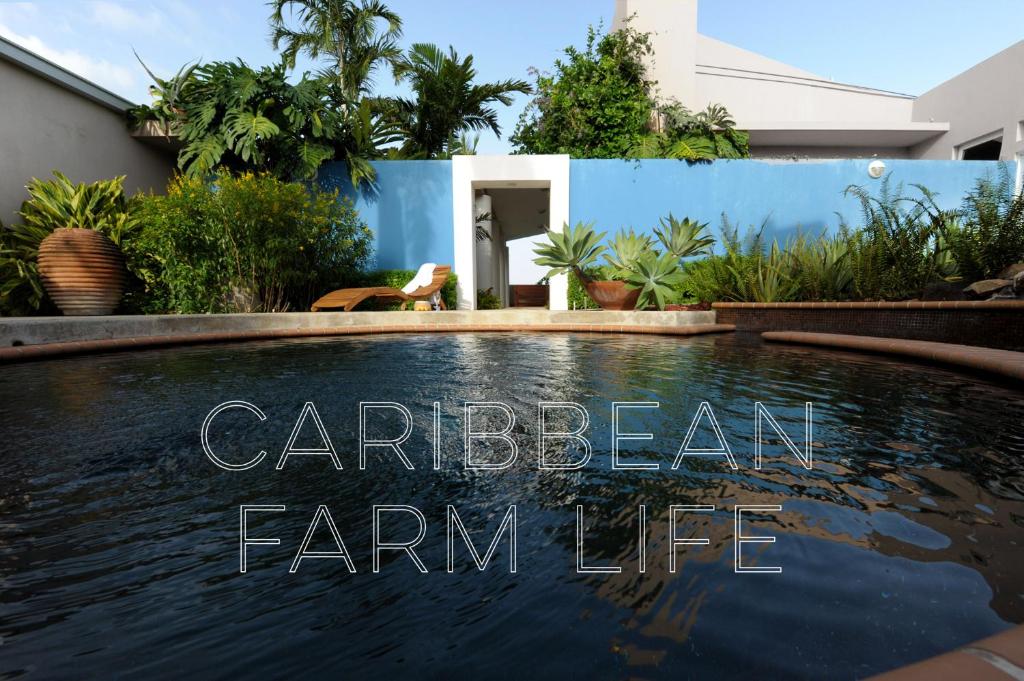 4 Casitas — Hotel in Cabo Rojo