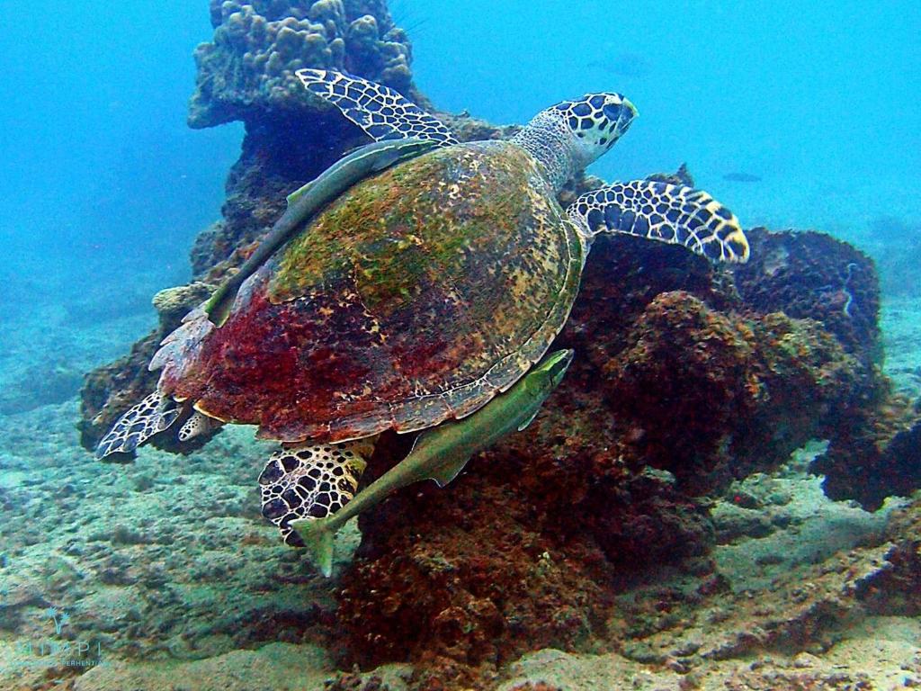 Sports and activities