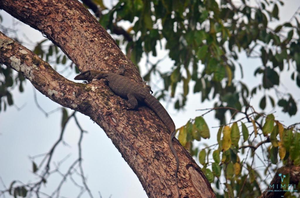 Sports and activities