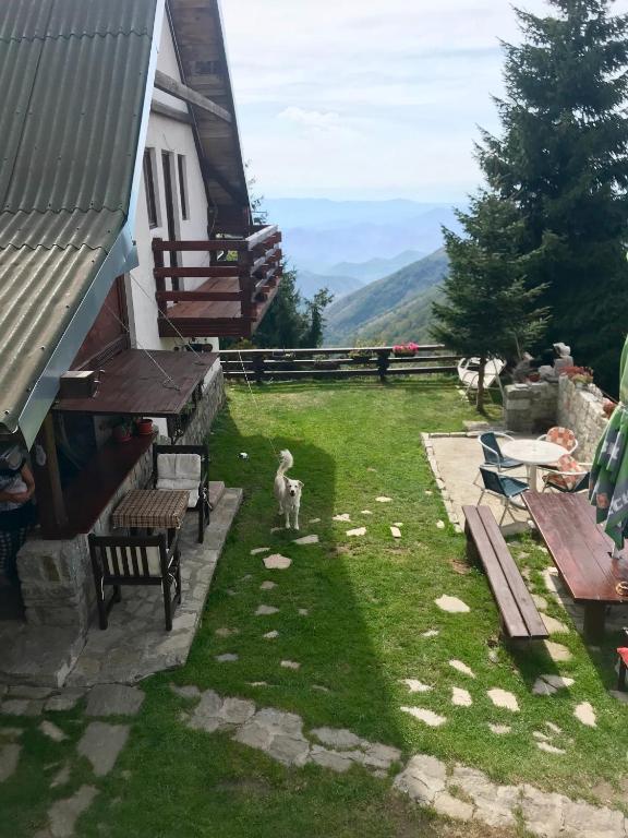 Holiday Home Dana Kopaonik - 2