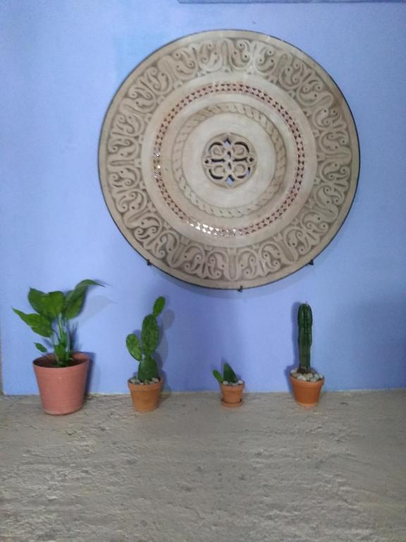 Riad Lola photo