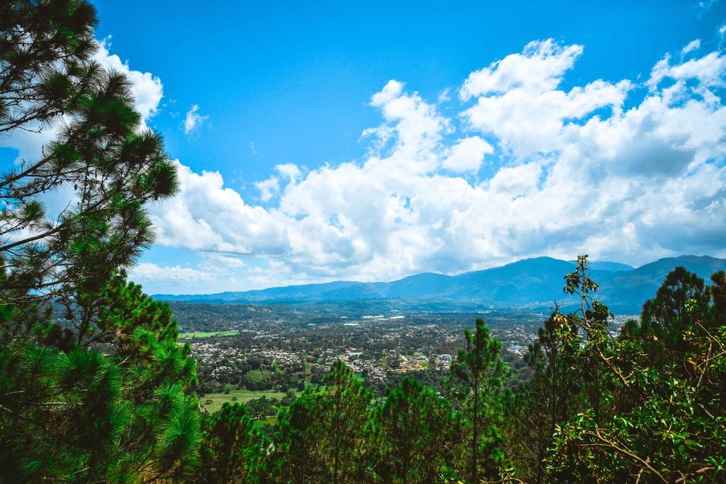 View