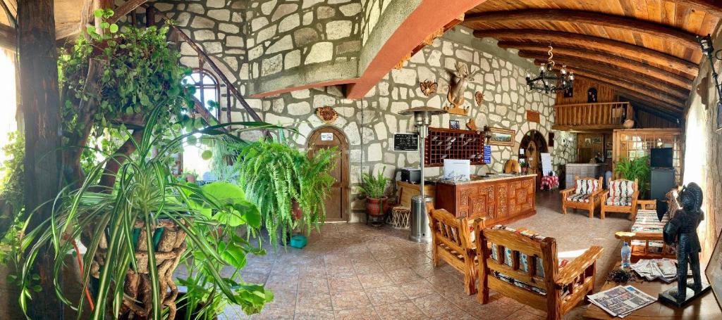 Hotel Mansion Tarahumara photo