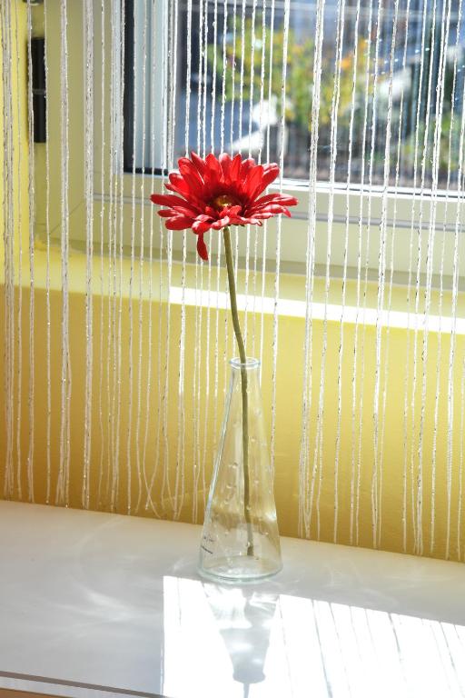 KAFA SA SLAVUJIMA free parking - 3