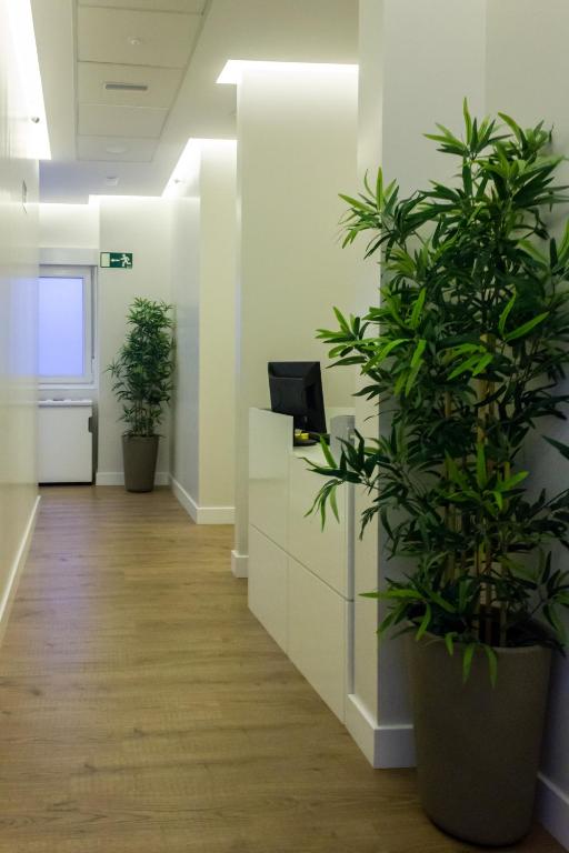 Arenal Suites Gran Via photo
