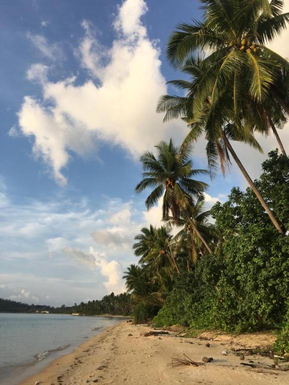 Silent Palm Samui photo