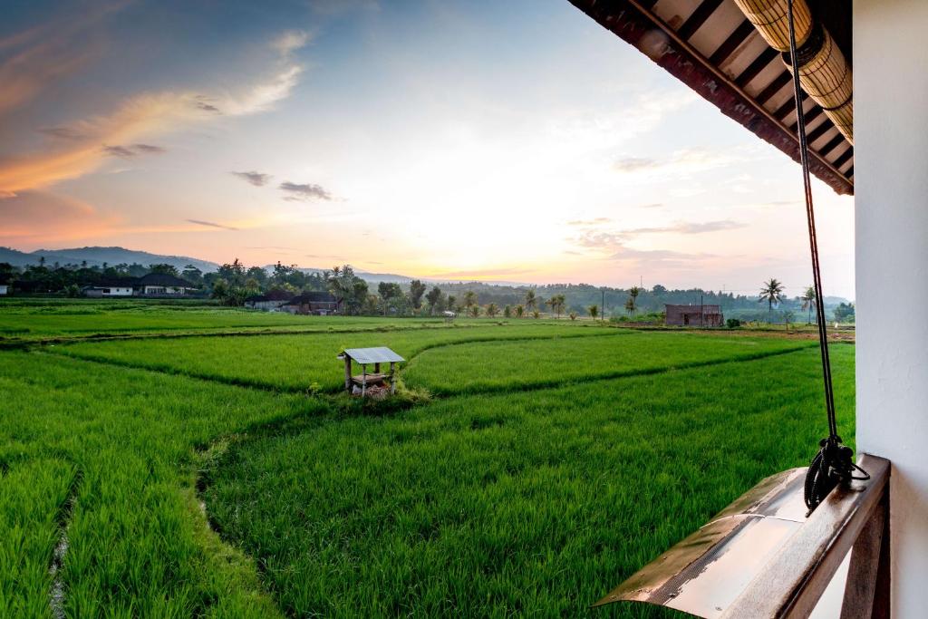Surrounding environment, Medewi Surf Villa in Bali