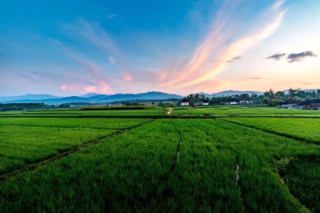 Surrounding environment