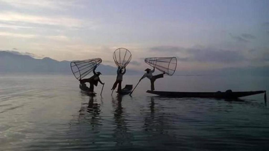 Surrounding environment