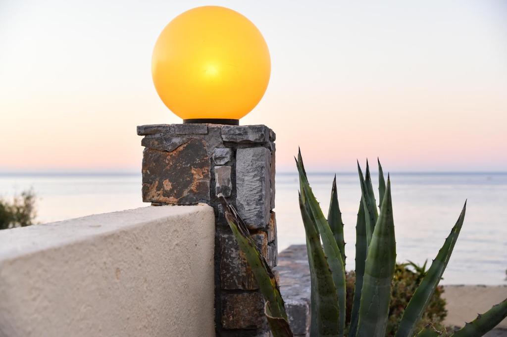 スイミングプール