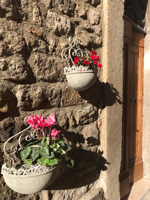 Il Gallo photo