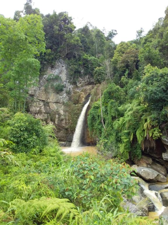 Lý Đành Homestay Ly Đanh Homestay 호텔 이미지 1