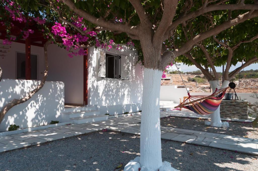 Felicia's sun-side house photo