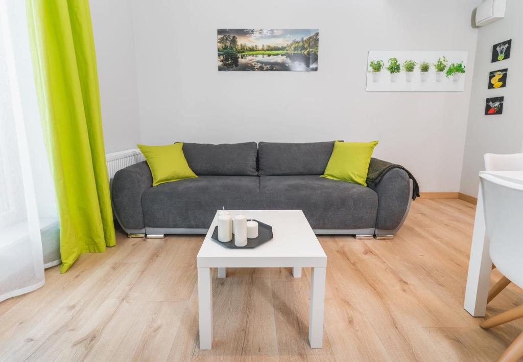 One-Bedroom Apartment with air conditioning- Rakowicka 14a Street