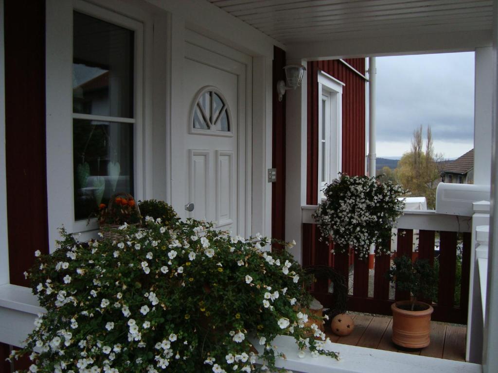 Haus Nordlicht photo
