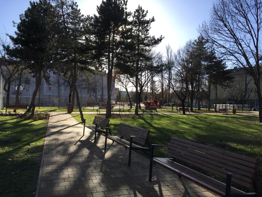 Surrounding environment