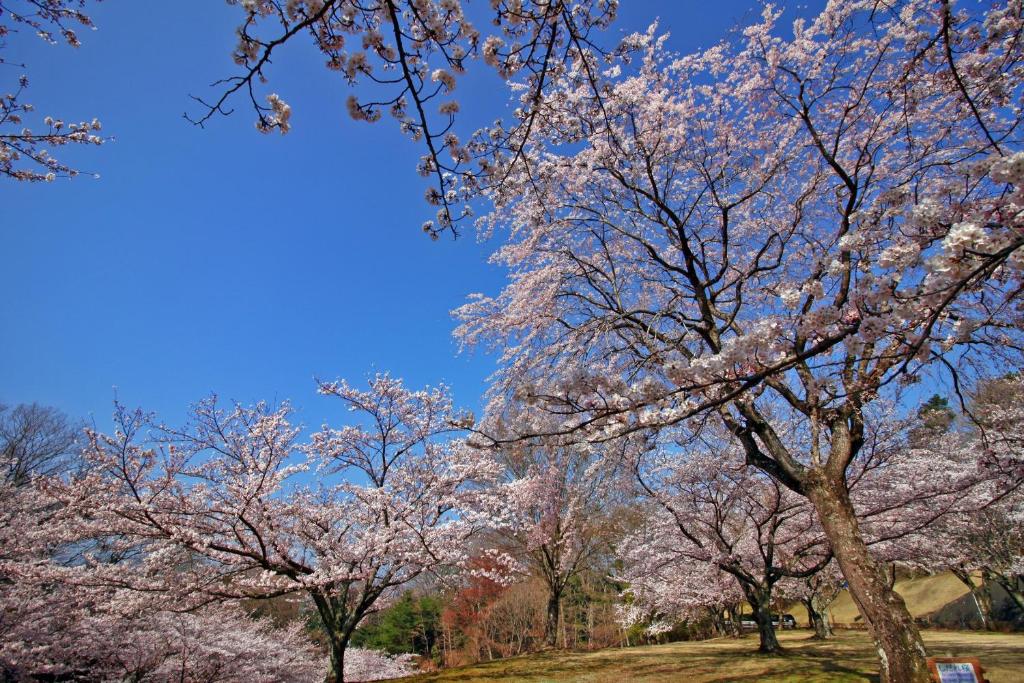 Surrounding environment