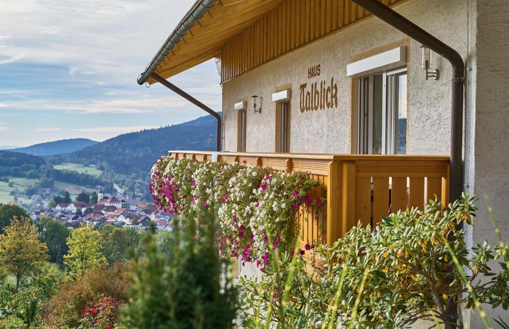Haus Talblick - 5