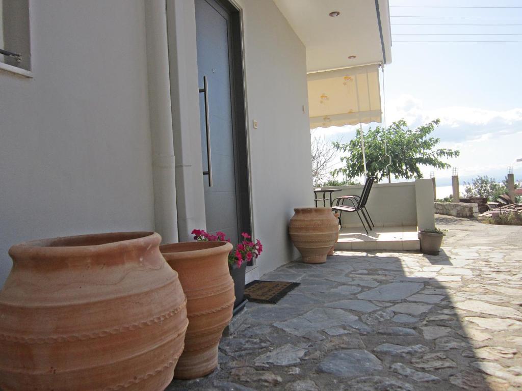 Blue Yard Apartments photo