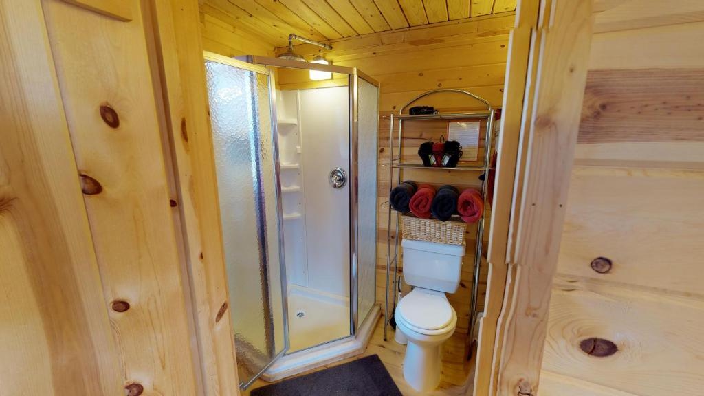 White Pine Cabin by Canyonlands Lodging photo