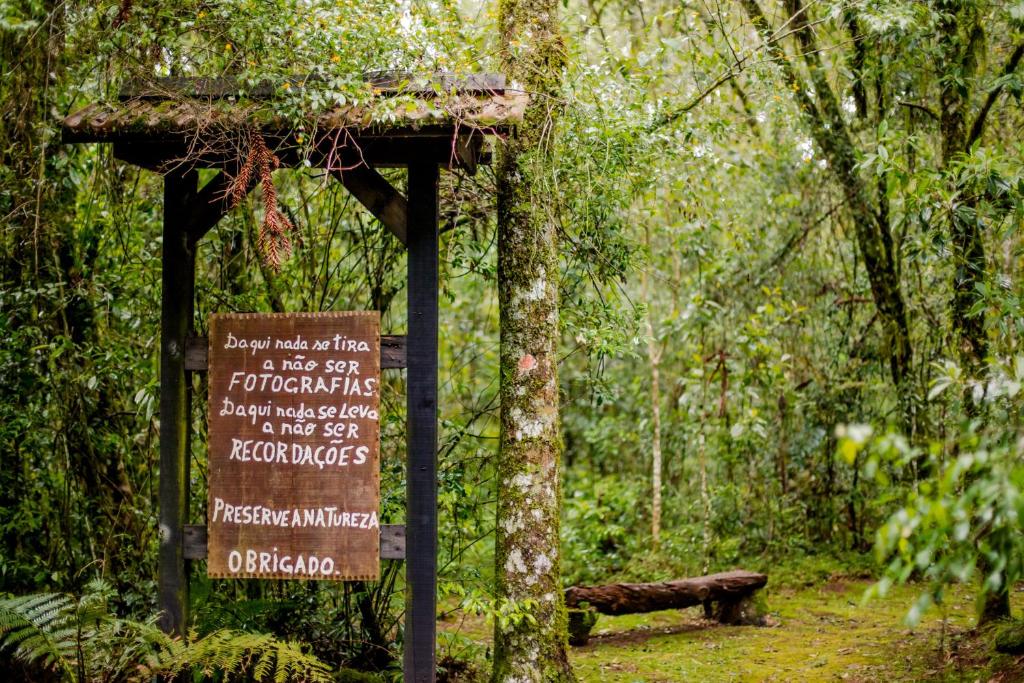 Surrounding environment