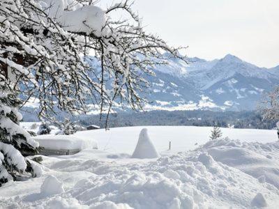 Alphirt Ferienwohnungen photo