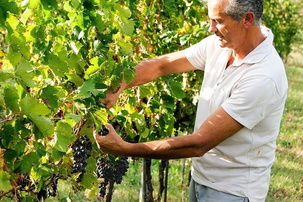 Agriturismo Podere Prasiano photo