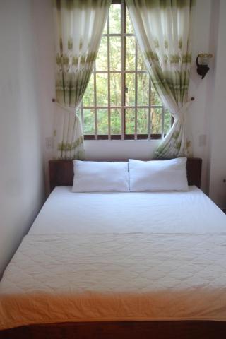 Gecko Guesthouse photo