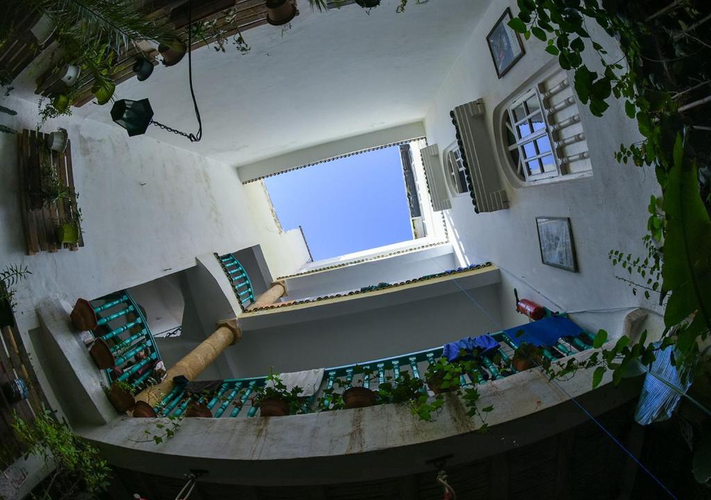Essaouira Youth Hostel & Social Travel photo