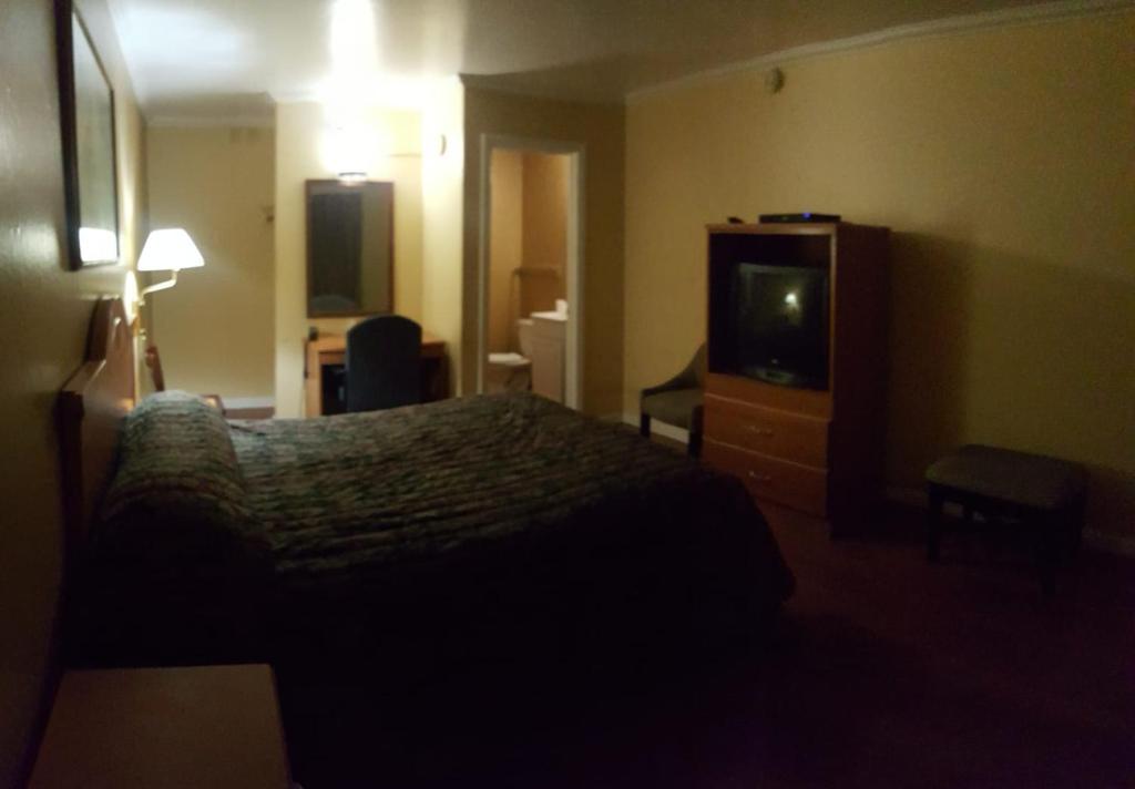 Palms Motel photo