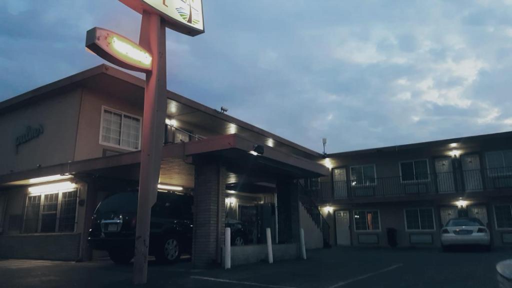 Palms Motel photo