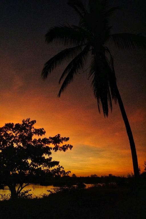 Surrounding environment, The Boathouse in Muang Khong