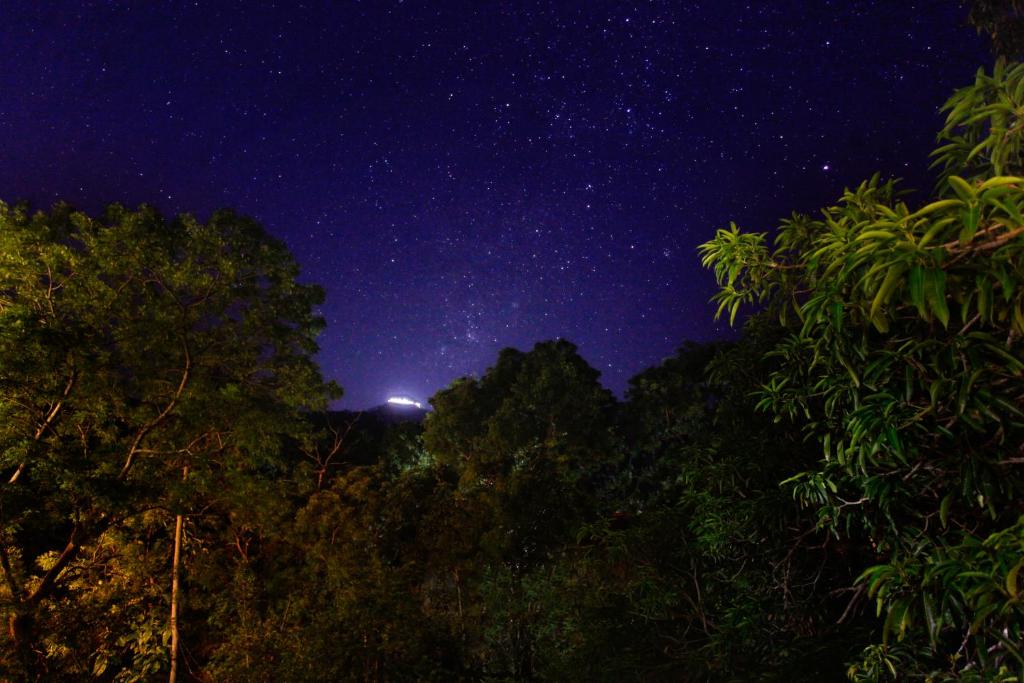 Grand Detagamuwa photo