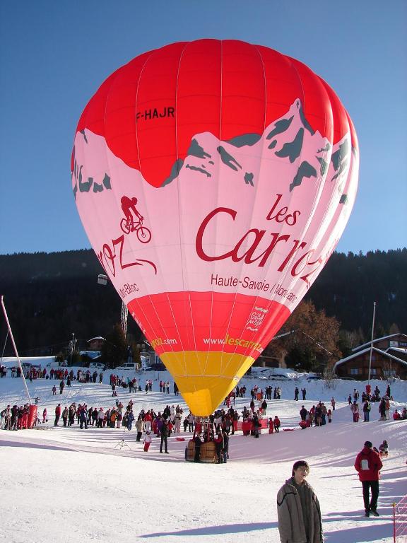 LES CARROZ LE LAYS cosy apartment 40M2 vue montagne plein sud - 3