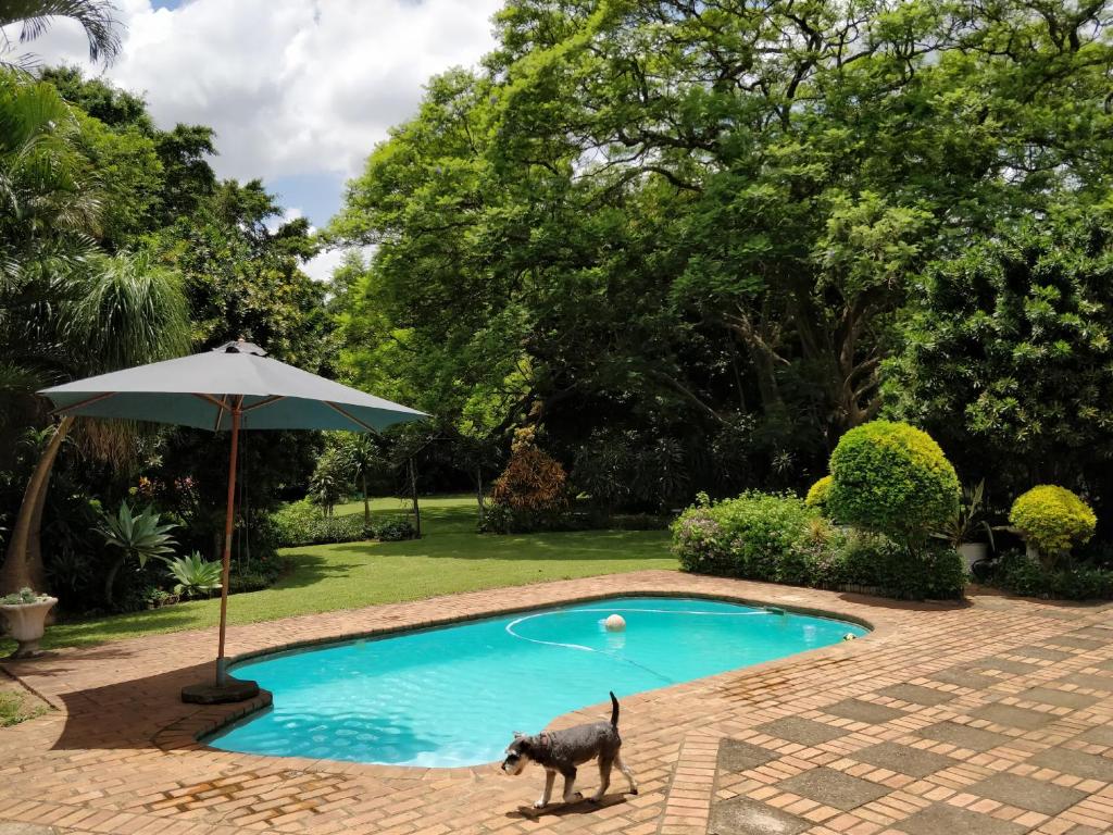 Mtuba Manor Guest House photo