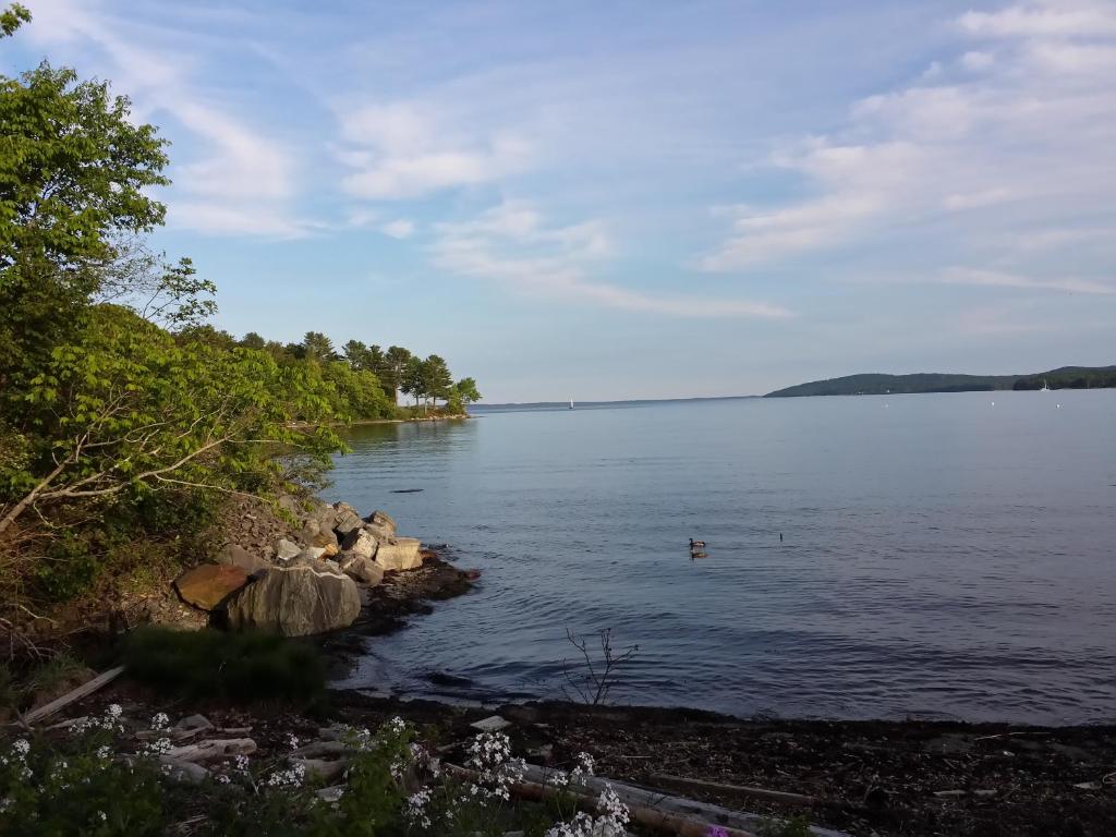 Belfast Harbor Inn photo