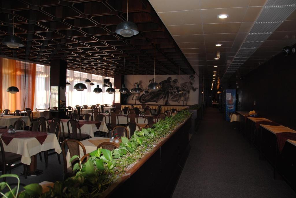 Hotel Labe photo